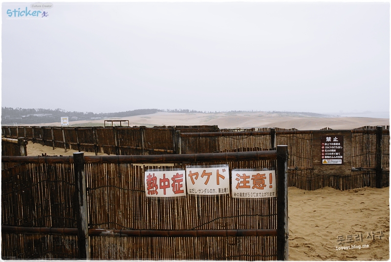[일본돗토리여행] 돗토리현! 하면 돗토리 사구!! 일본 속의 사막이라 불리우는 돗토리사구 마차타기! 네이버 블로그