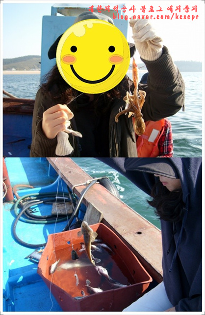 바다쭈꾸미 이미지