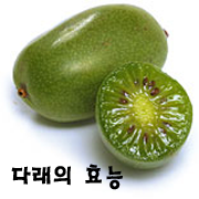 다래 이미지
