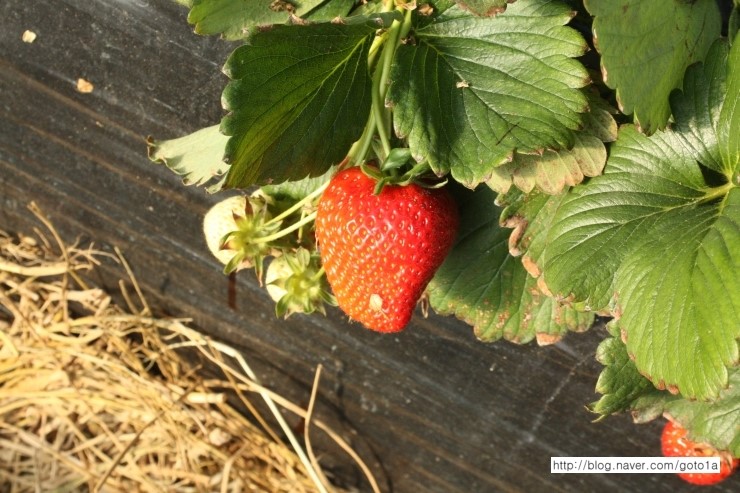 IMG_9201.JPG?type=w2