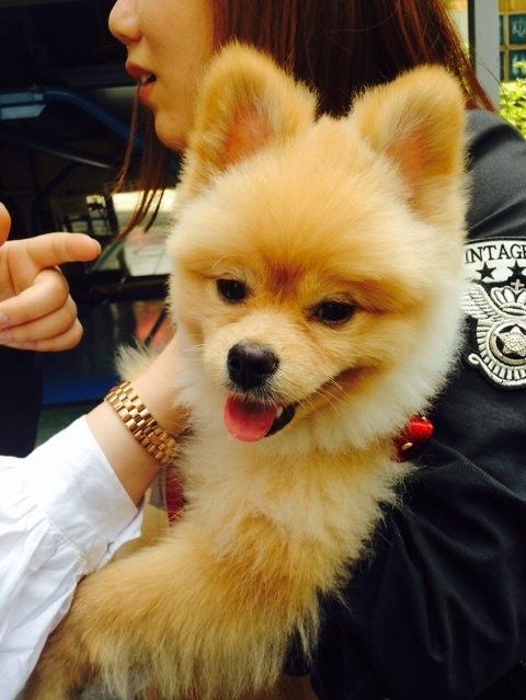 NaverBlog_20140513_221611_22.jpg?type=w3