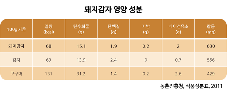 바로돼지 이미지