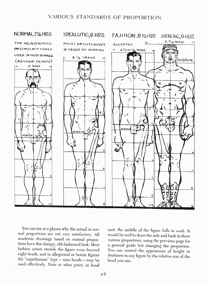 [인체해부학]게임캐릭터제작 및 웹툰작가 준비까지 기초기로 어떤 것을 배워야 할까? : 네이버 블로그 Biology Diagrams