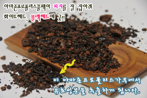 팩코 이미지