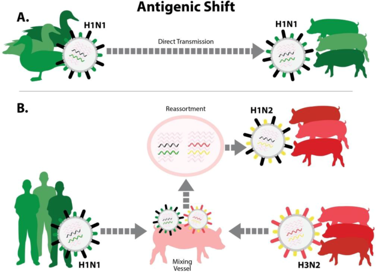 antigenic drift vs antigenic shift 네이버 블로그