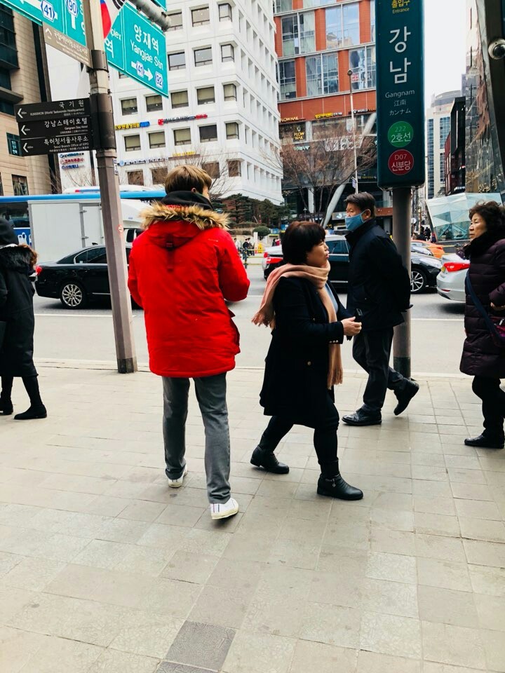 파이안 이미지