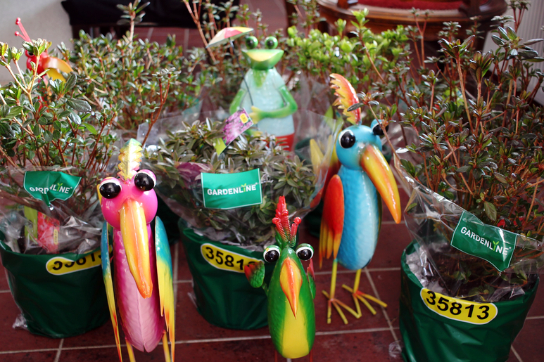 영산홍과 철쭉 구별법, 철쭉을 심기, 영산홍 키우기 : 네이버 블로그