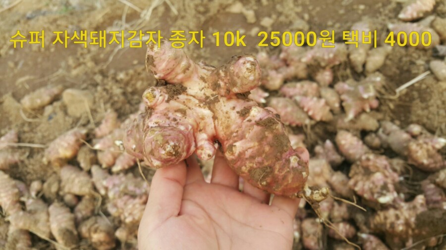 웰빙슈퍼 이미지