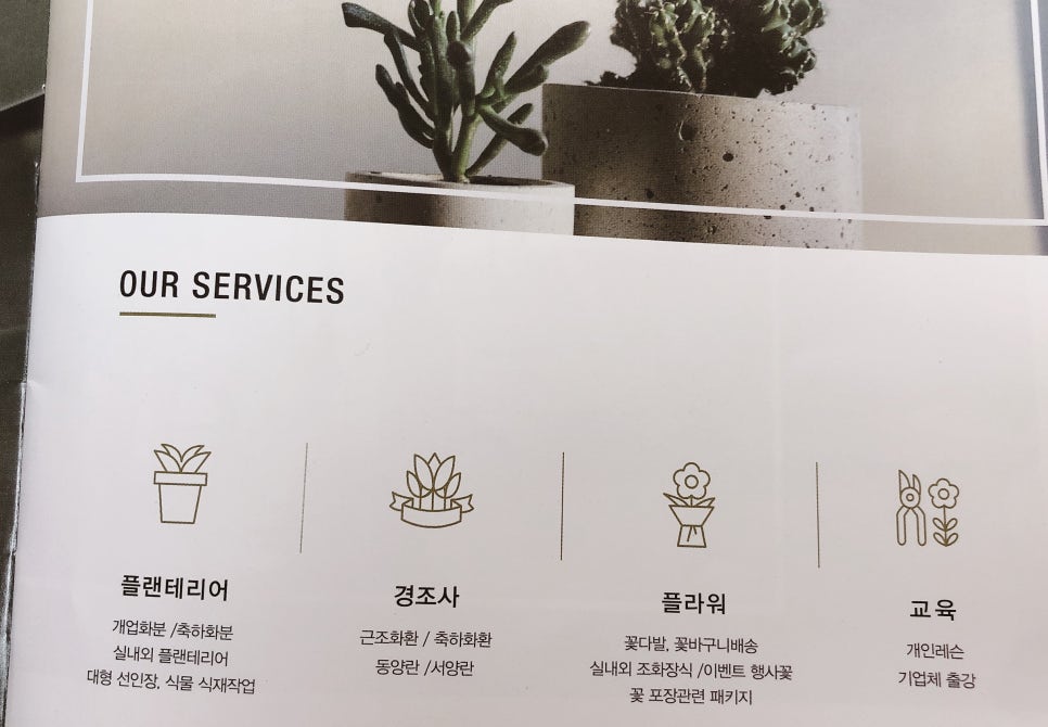 플로정아 이미지