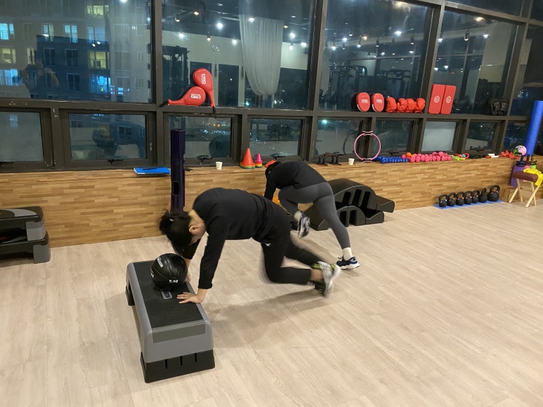 새싹피티 이미지