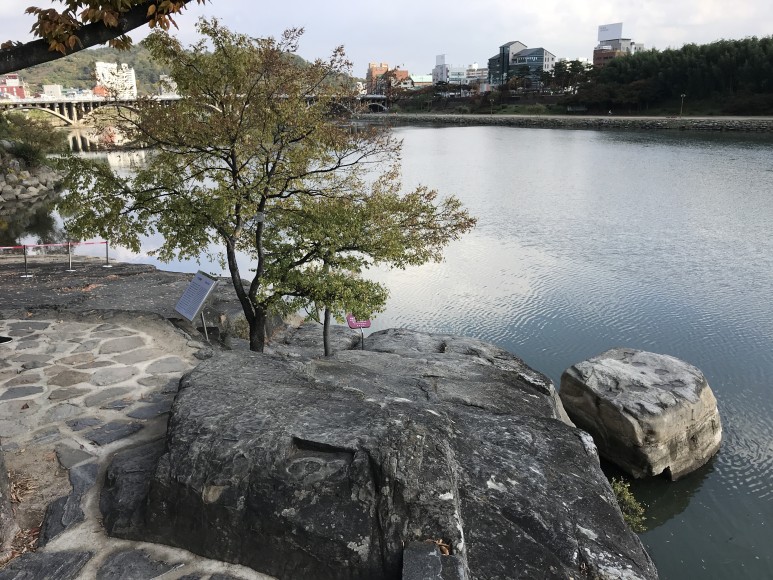 119여행사 이미지