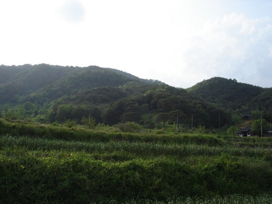 result_2008_4_3_18_36_54_921_10-tklim1.jpg?type=w3